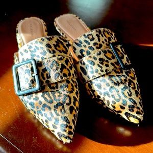 Pre-owned Halogen slip on cheetah shoes